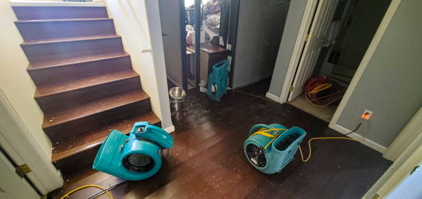 Best Residential water damage restoration  in Edwards, MS