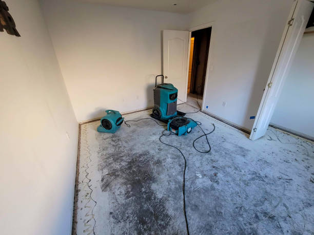 Reliable Edwards, MS Water damage restoration Solutions