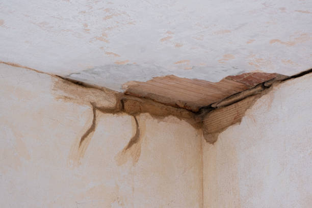 Best Flood damage cleanup  in Edwards, MS