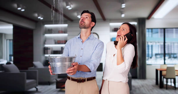 Best Flooded house restoration  in Edwards, MS