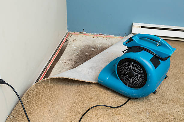 Best Water damage restoration near me  in Edwards, MS